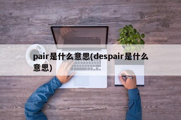 pair是什么意思(despair是什么意思)