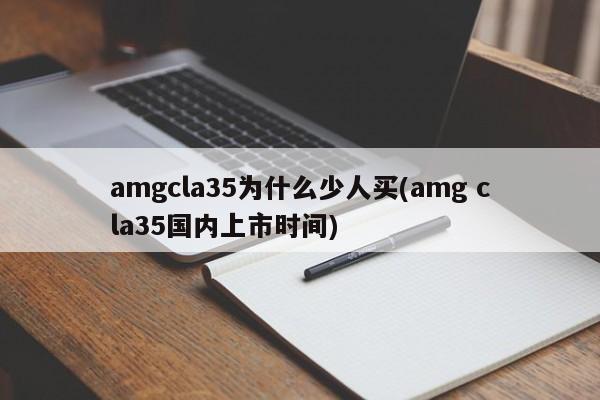 amgcla35为什么少人买(amg cla35国内上市时间)
