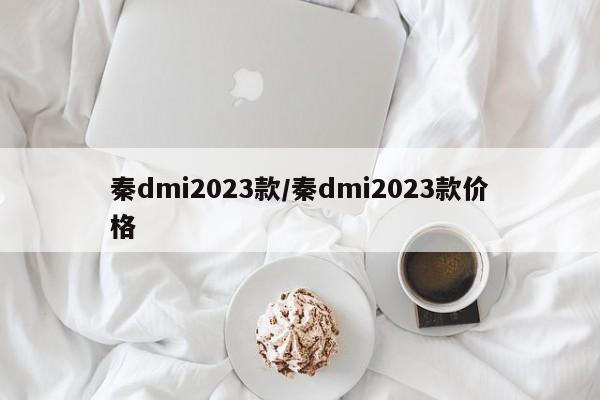 秦dmi2023款/秦dmi2023款价格