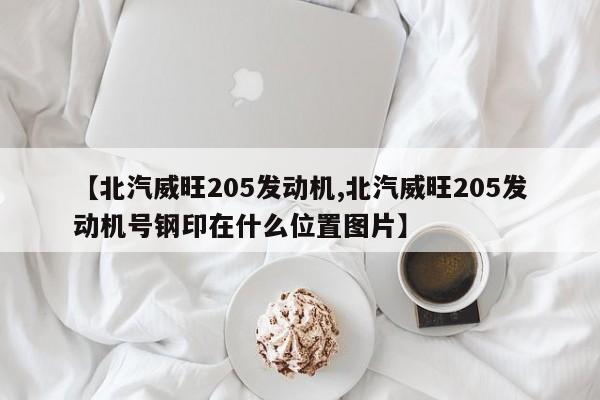 【北汽威旺205发动机,北汽威旺205发动机号钢印在什么位置图片】
