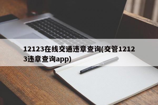 12123在线交通违章查询(交管12123违章查询app)