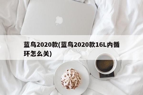 蓝鸟2020款(蓝鸟2020款16L内循环怎么关)