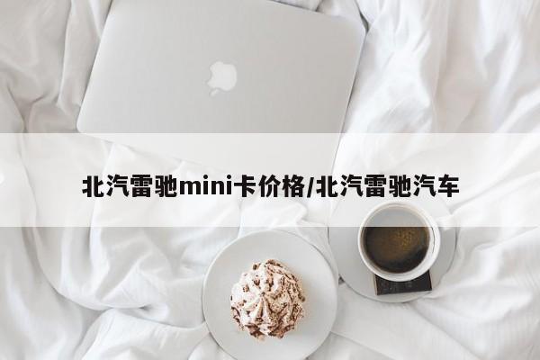 北汽雷驰mini卡价格/北汽雷驰汽车