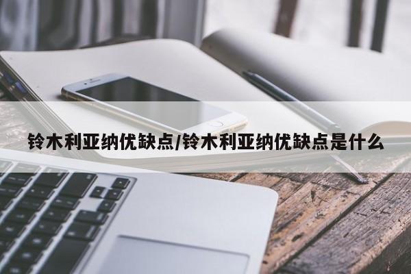 铃木利亚纳优缺点/铃木利亚纳优缺点是什么