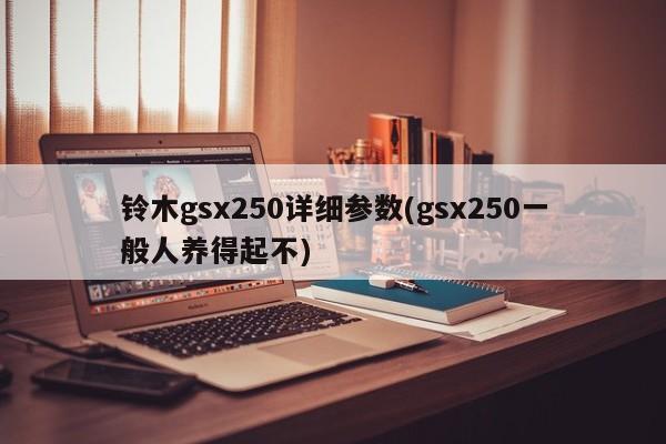 铃木gsx250详细参数(gsx250一般人养得起不)