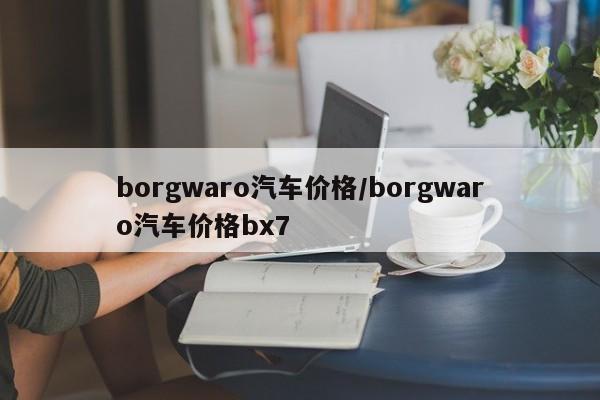 borgwaro汽车价格/borgwaro汽车价格bx7